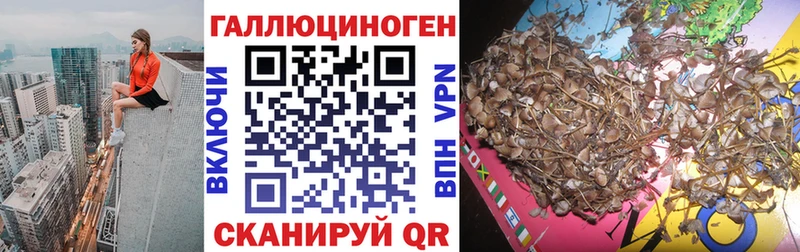 Галлюциногенные грибы Magic Shrooms  кракен маркетплейс  Урень 